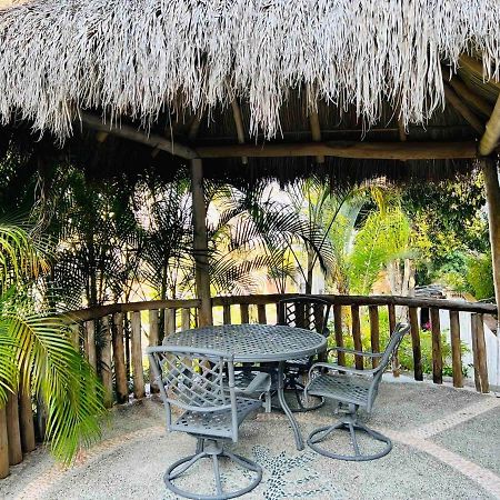 Villa Martha Garza Blanca - Private Heated Pool Πουέρτο Βαγιάρτα Εξωτερικό φωτογραφία
